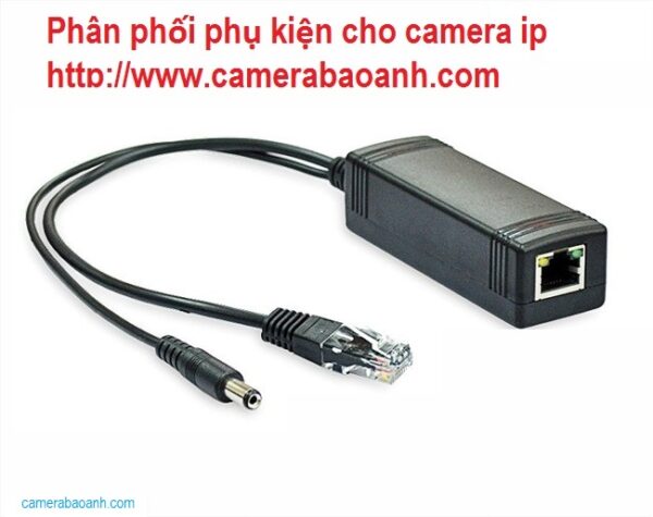 TD-9524S1 (D/PE/AR1)