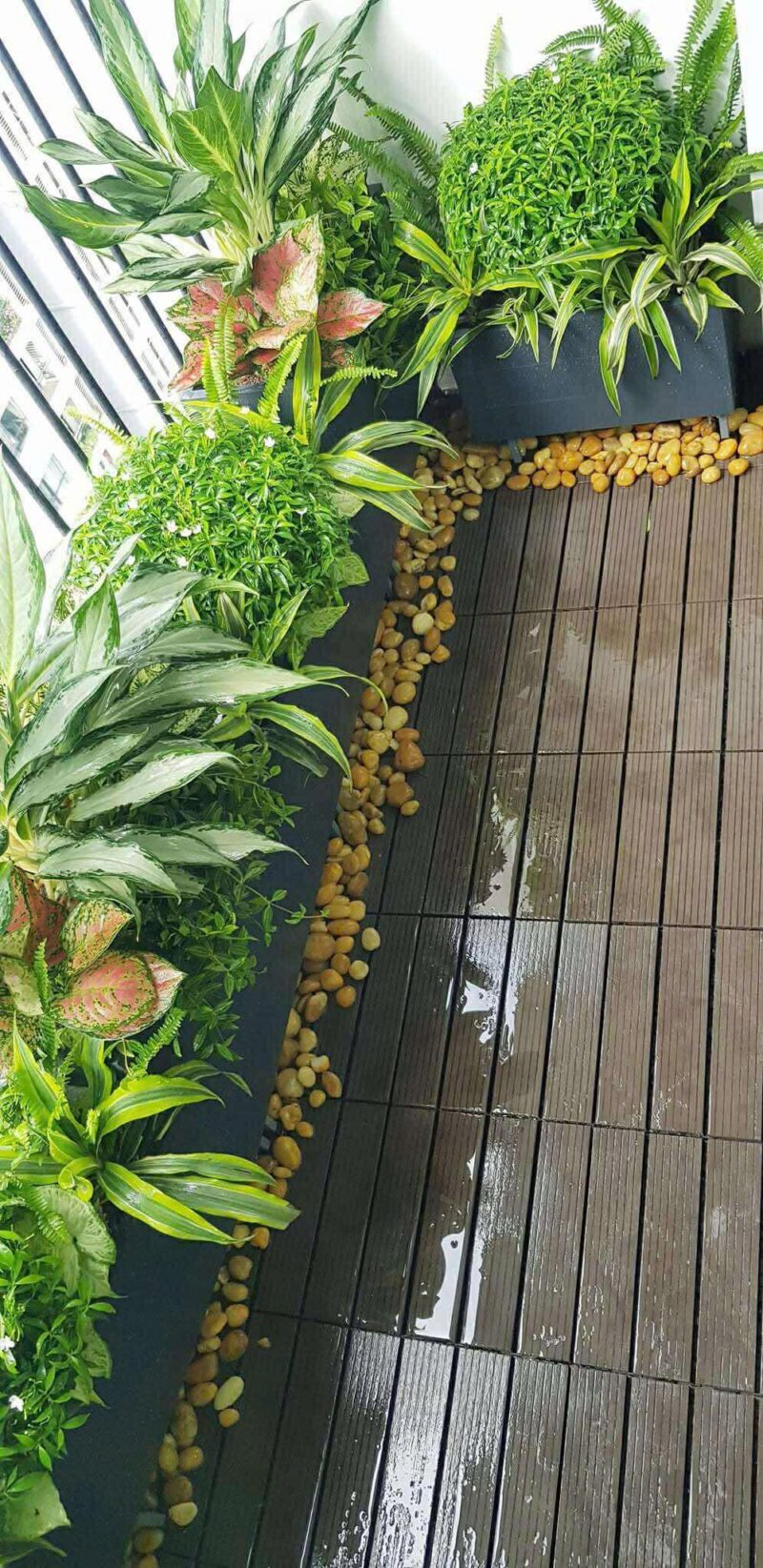 Bộ van hẹn giờ tưới nước tự động
