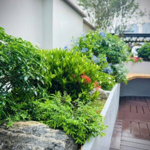 Bộ van hẹn giờ tưới nước tự động
