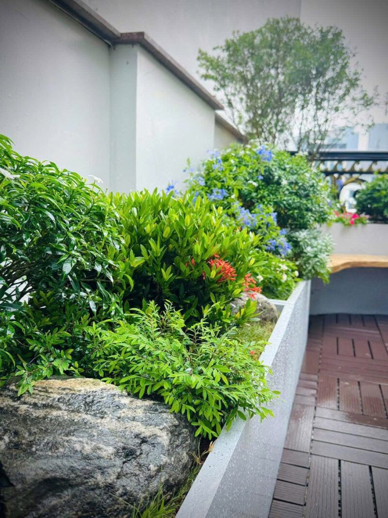Bộ van hẹn giờ tưới nước tự động